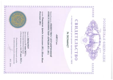 Свидетельство Роспатента — БИТ.Гео