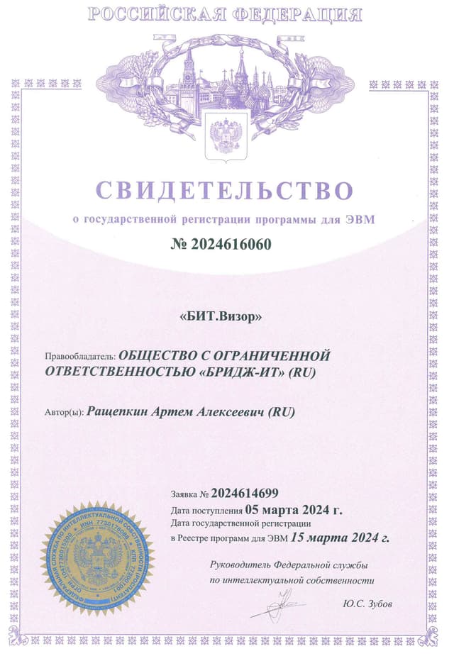 Свидетельство Роспатента — БИТ.Визор